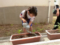 image004