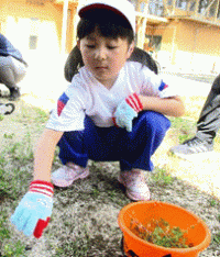 image003