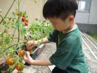 image001