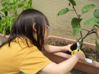 image002