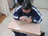 image001