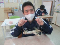 image002
